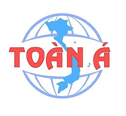 TOAN A COMPANY PROVIDER IMMIGRATION LAW IN HO CHI MINH CITY